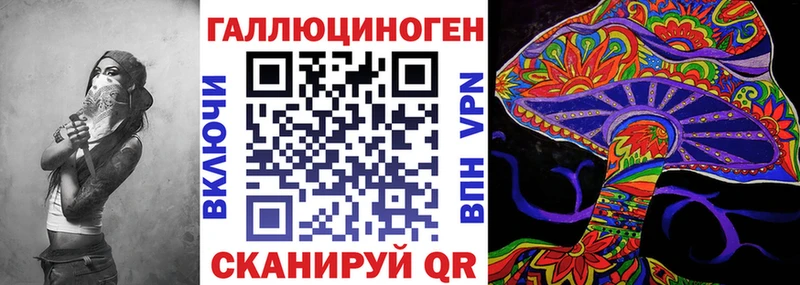 Купить где  Бавлы  Псилоцибиновые грибы мицелий 